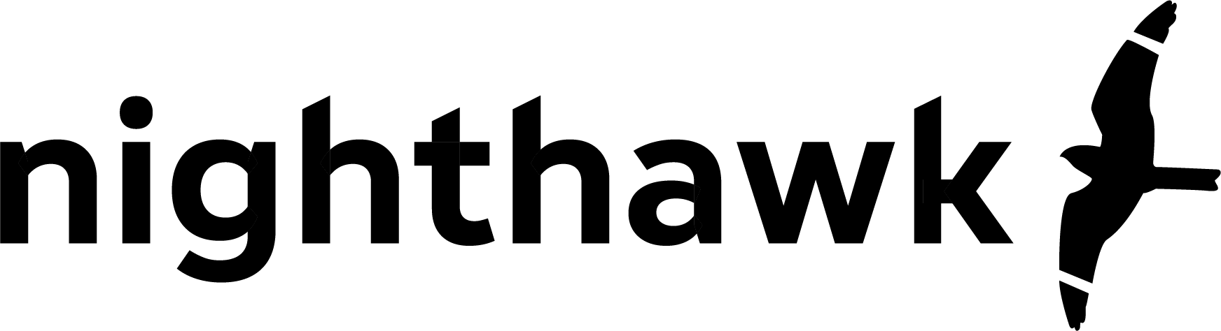 Nighthawk Interactive