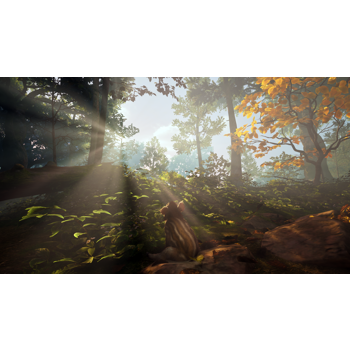 adorable-adventures-playstation-5-37334-cby-5060690798118.webp