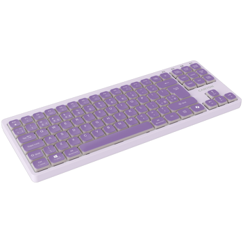 canyon-keyboard-ontype-10-low-profile-en-wired-violet-cns-hk-21237-cns-hkb10v.webp