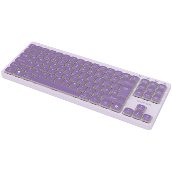 canyon-keyboard-ontype-10-low-profile-en-wired-violet-cns-hk-21790-cns-hkb10v.webp