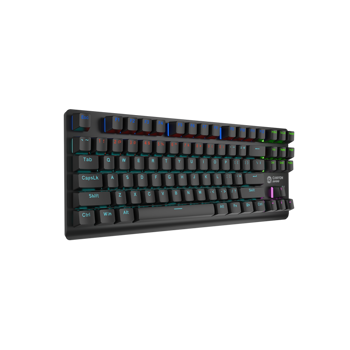 canyon-keyboard-striker-skb-2-tkl-rainbow-us-wired-black-cnd-18168-cnd-skb2.webp