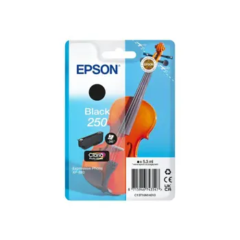 epson-singlepack-black-250-ink-c13t16n14010-97056-48267856.webp