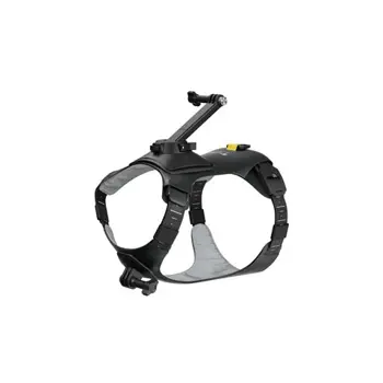 Insta360 Pet Harness Mount Size S, CINSBAVX