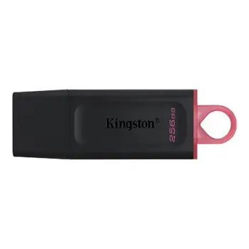 Kingston 256 GB 3.2 Gen 1 USB Flash Drive, DataTraveler Exodia, KNG-DTX-256GB