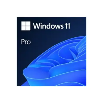 ms-1x-win-11-pro-64bit-dvd-oem-en-92716-4334306.webp