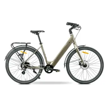 MS ENERGY eBike Zorya bronze, Zorya bronze