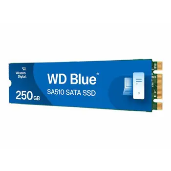 wd-blue-sa510-ssd-250gb-m2-sata-iii-17878-4574827.webp