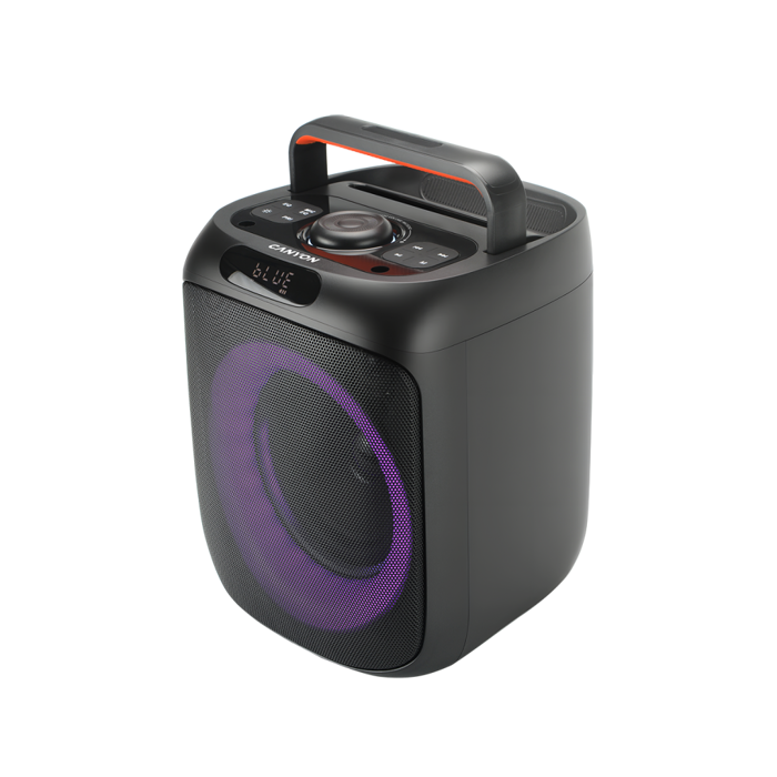 CANYON Portable Party Speaker OnFun 6 RGB Black, CNE-PBSP6
