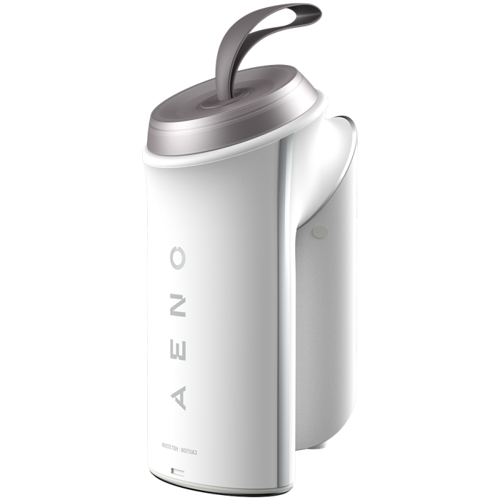 Folded garment steamer, AC220-240V, 50/60Hz, 1 unit per GB, 8units per carton box, AGS0004