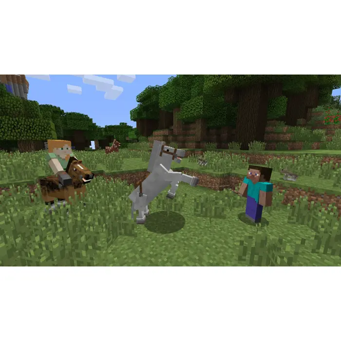 Minecraft: Nintendo Switch Edition (Switch)