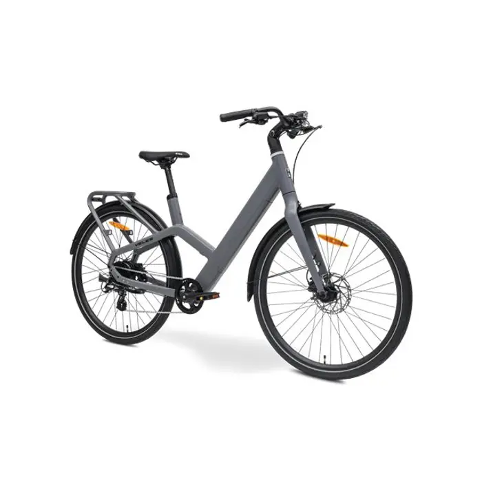 MS ENERGY eBike Veles Grey, Veles Grey