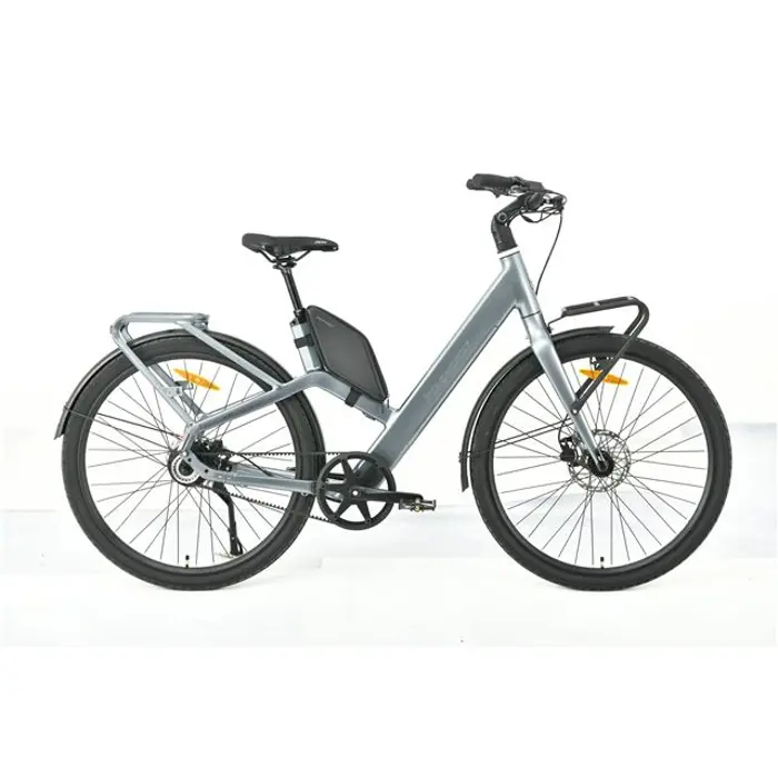 MS ENERGY eBike Veles Plus special gold, Veles Plus special gold