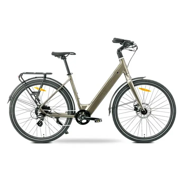 MS ENERGY eBike Zorya bronze, Zorya bronze