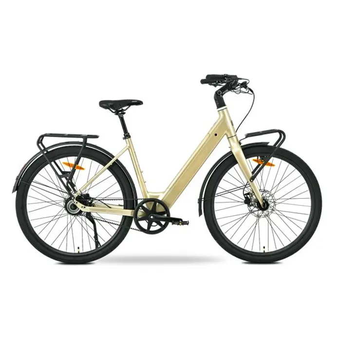 MS ENERGY eBike Zorya Plus Silver Gold, Zorya Plus Silver Gold